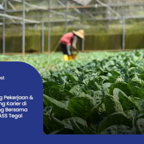 Artikel LPK GASS TEGAL 3