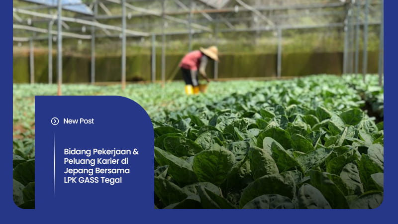 Artikel LPK GASS TEGAL 3